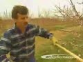 Tree Trimmers and Pruners
