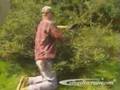 Tree Trimmers and Pruners