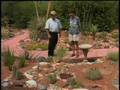 Xeriscapes of the Southwest-Lisa Mandelkern