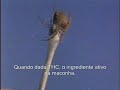aranhas drogadas legendado