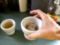 Making an Environmentally-Friendly Fly Trap