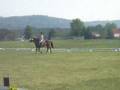 Event Derby at Stonewood Farms