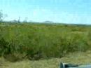 New Mexico is Boring