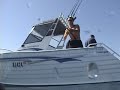 under water fishing footage