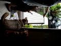 Corrida insana para o carro