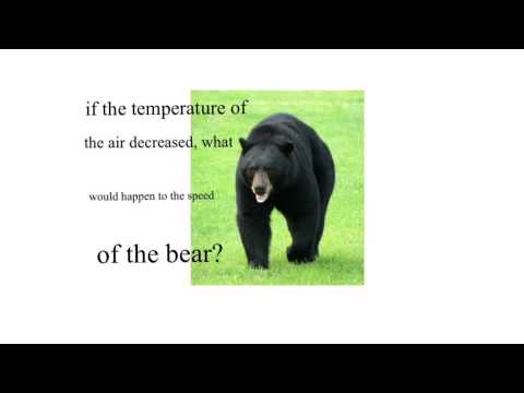 how to write hypothesis