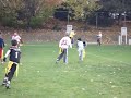blitz 