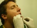 pircing fabio amlat 2007 harshara pircing fabio amlat 2007 harshara