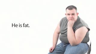 Las Descripciones Personales.