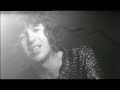 Cult Video By The Kooks - Amazing