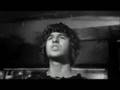 Cult Video By The Kooks - Amazing