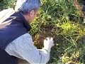 Visite du domaine Léon Barral