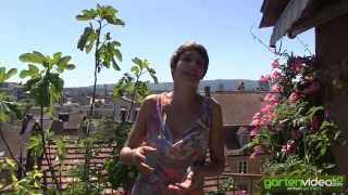 #1315 Sabine Rebers Tipps und Tricks zur Überwinterung von Kübelpflanzen auf Terrasse 