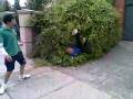 videos de Bush Jumping Episode 4
