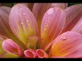 Fond d'écran Windows 7 Build 7048 Wallpaper Sample Pictures
