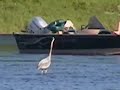 Sister on Kennebec