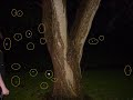 EVPs and Ghost or orb Pictures