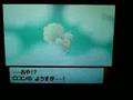 ポケモン 「キュウコン」に進化!瞬間映像