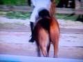Calypso ^^ 15/o9/2oo7