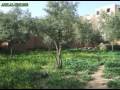 foum jamaa