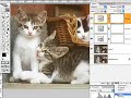 Photoshop: Curve e Livelli per Toni e Colori