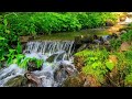 Super Brain Study Music: Alpha Wave Binaural Beats (1H) - Relaxační hudba (Relaxing Music)