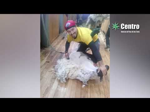- Semanario Centro - Paso de los Toros - Semanario Centro - Paso de los Toros