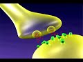 LTP 2 - free flv video @ vwatch.tv