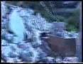 TERREMOTO NELLE MARCHE 1997 E AUDIO ORIGINALE DEL TERREMOTO