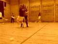 Floorball