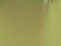 Max a la piscine