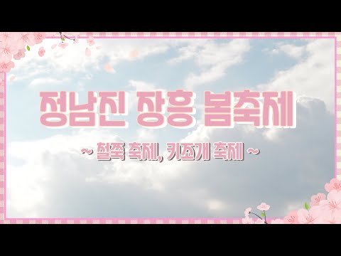정남진 장흥 봄축제 철쭉제 / 키조개 축제