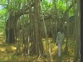a segment fron national geographic's '100 dollar taxi ride' - madras