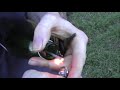 How to make a sparkler bomb go bang! -on water How to make a sparkler bomb go bang! -on water