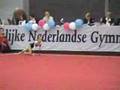 Tess Nordsiek Vloer