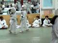 videos de Destiny Karate 2nd fight for her brown belt test