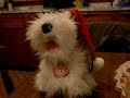 うたう犬動画