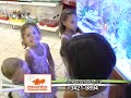 aquarios e peixes ornamentais, acessorios para aquario 