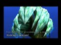 final fantasy crystal chronicles intro  gamecube pal french 