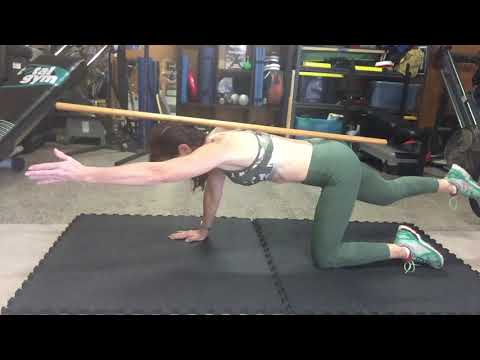 How to… Bird Dog Part 2