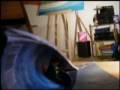Playmobil surfer