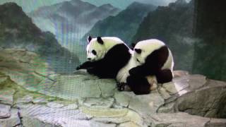 Smithsonian National Zoo