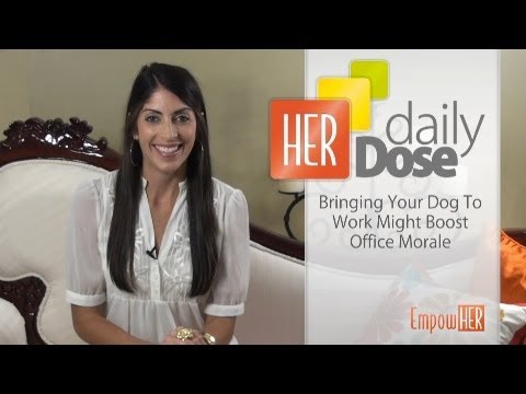 how to boost office morale