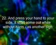 Surah 20: Taha (Ta-ha) Verses 1-48