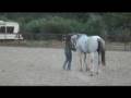 videos de Chasing the Tiger 2008