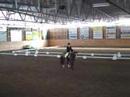 Poline som dressyrh�st