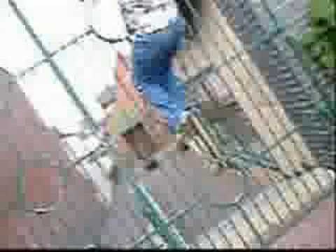 James Holz & Emma Grellier - Parkour ...