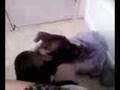 videos de Psycho dog