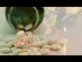 Brock Mitchum video