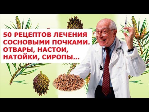50 рецептов лечения сосновыми почками Отвары, настои, натойки, сиропы, варенье, мед из сосновых